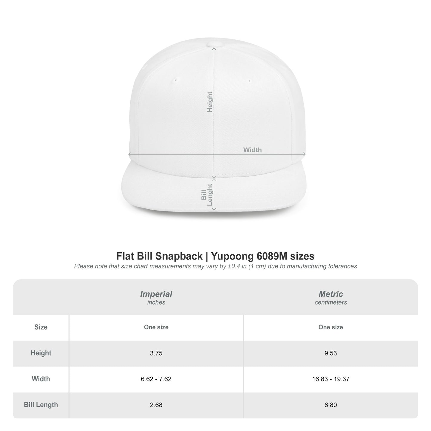 Postal Music — The Next Tour Flat-Bill Snapback